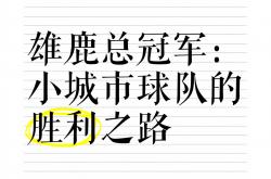 开云体育中国-雄鹿队士气高昂，冲刺季后赛的决赛之路