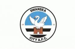 开云体育-斯旺西城主场完胜维根，助力保级的简单介绍