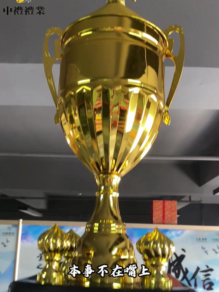 奖杯高举，夺冠成就驶向辉煌的简单介绍